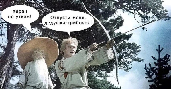 отпусти меня дедушка грибочек