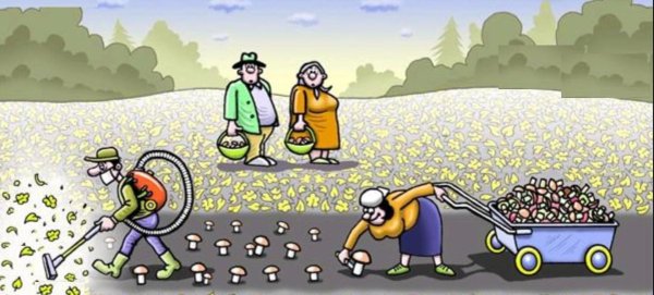 дачные карикатуры