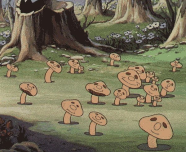 рисунки гриб