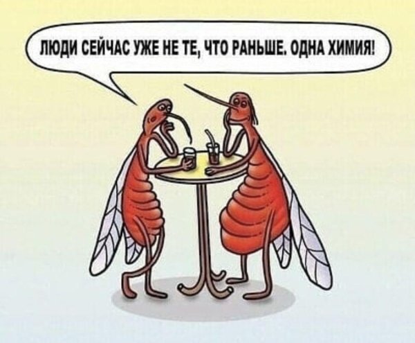 таракан таракан