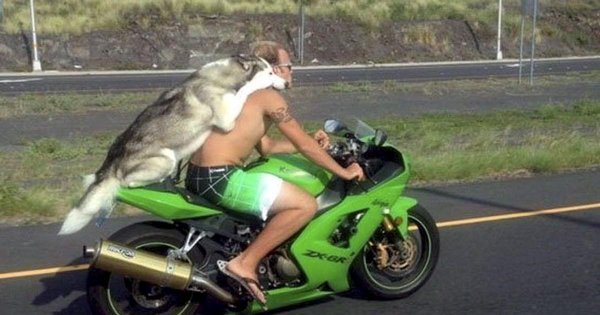 прикольные мотоциклы