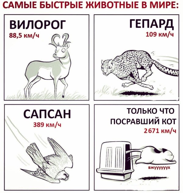 олени рисунки