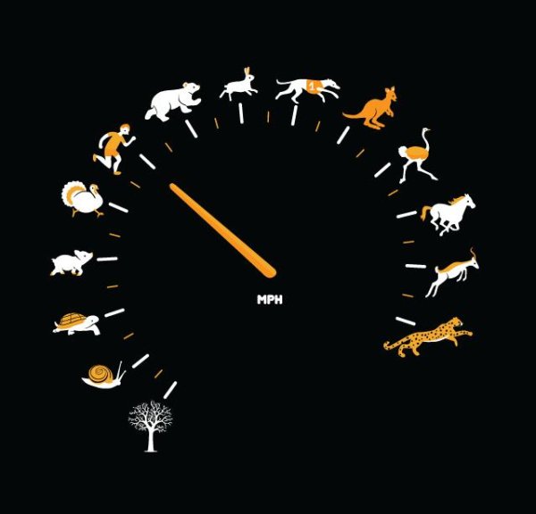 рисунок спидометра