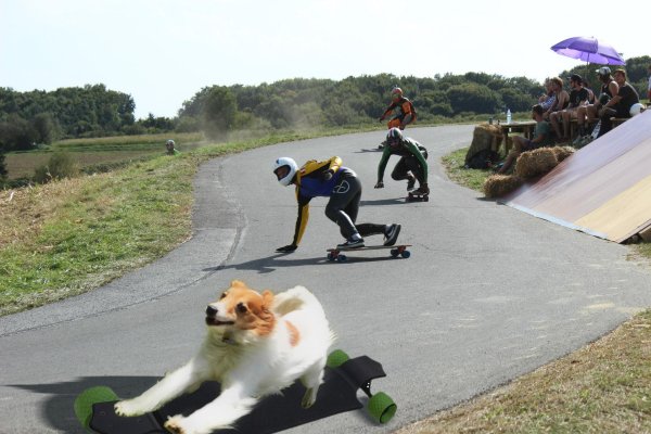 лонгборд скейтборд