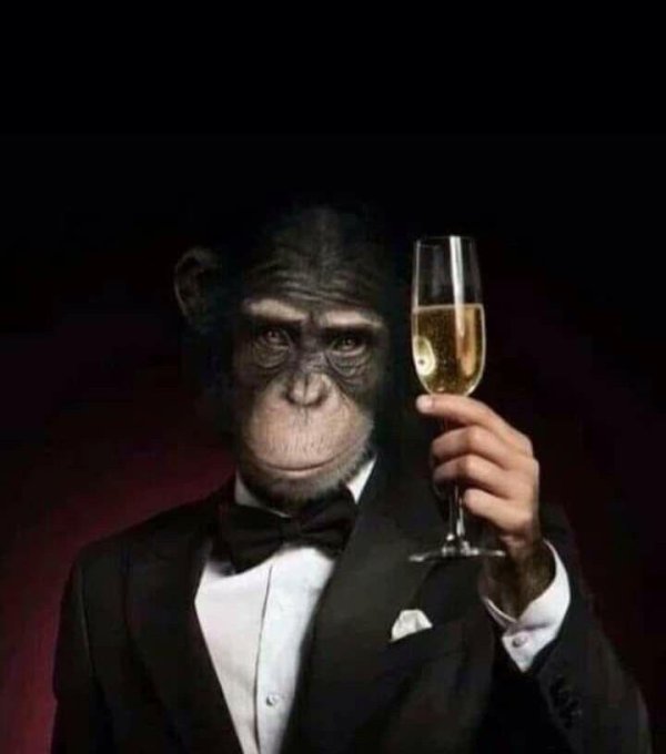 шимпанзе в костюме с бокалом