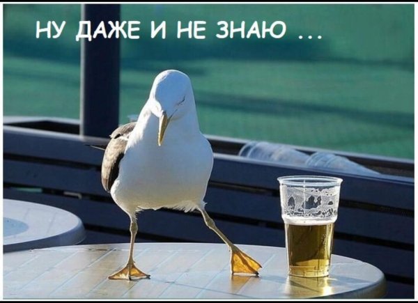 Стесняюсь