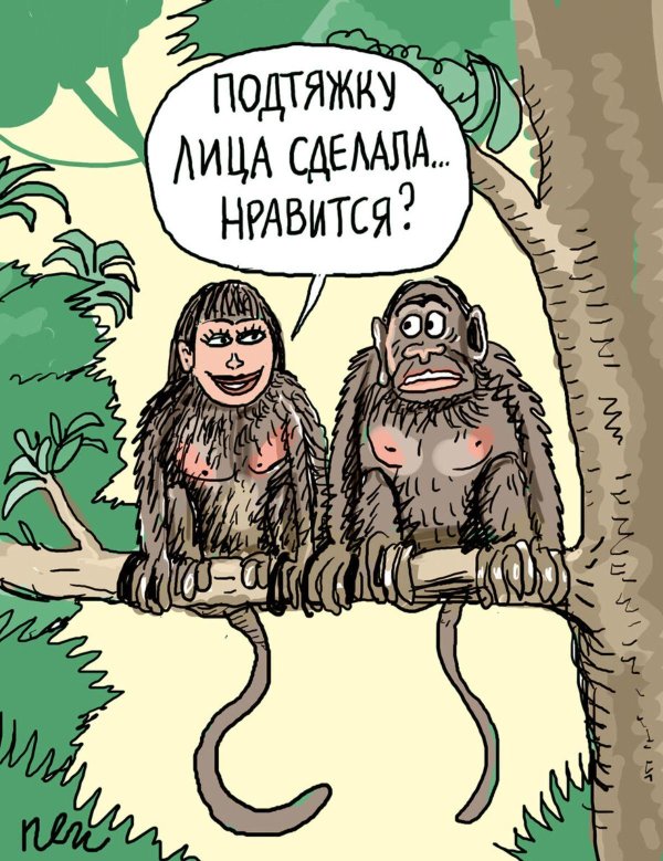 рисунки карикатуры