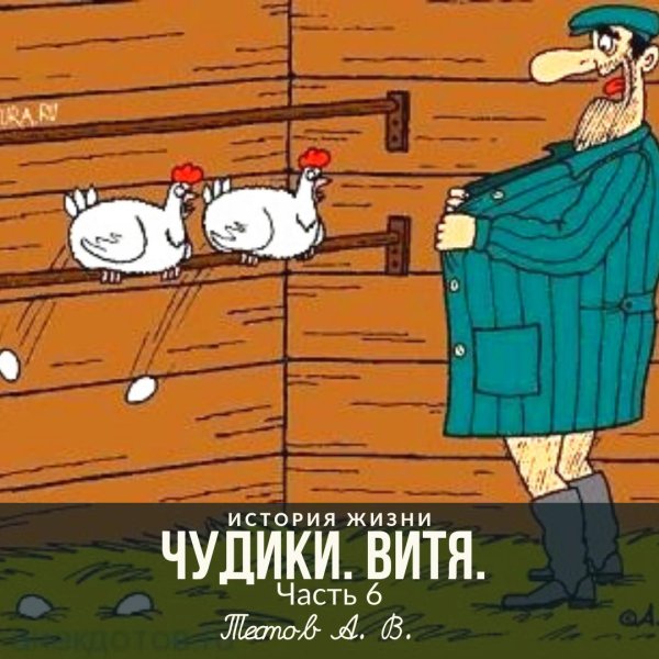 курятник прикол