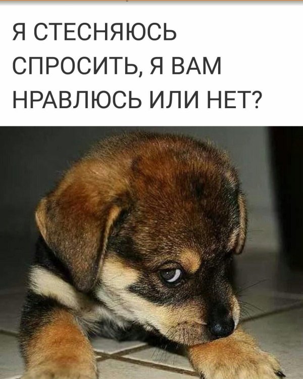 я стесняюсь