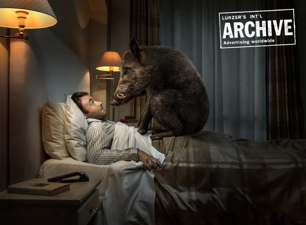 кабан дикий