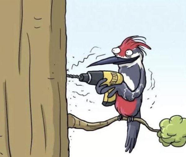 сказочный долбодятел