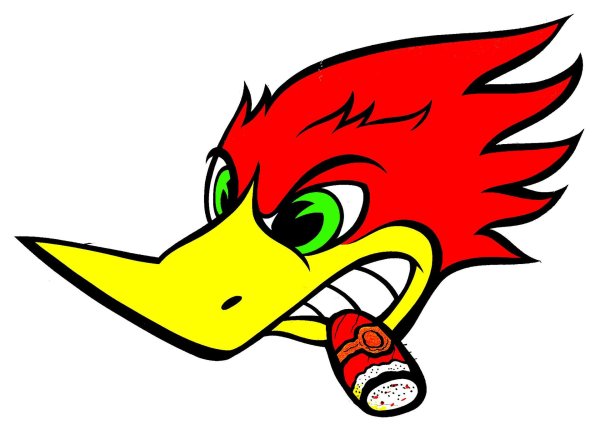 ciocănitoarea woody