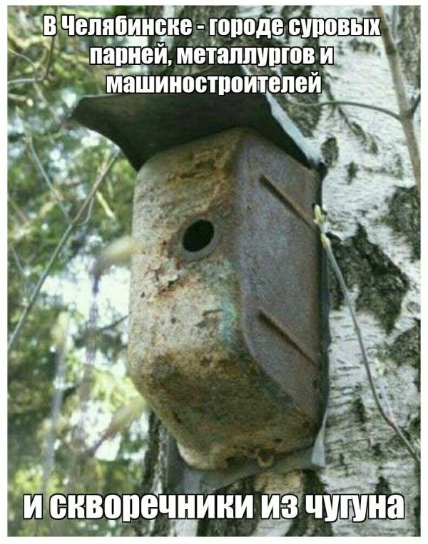 оригинальные скворечники