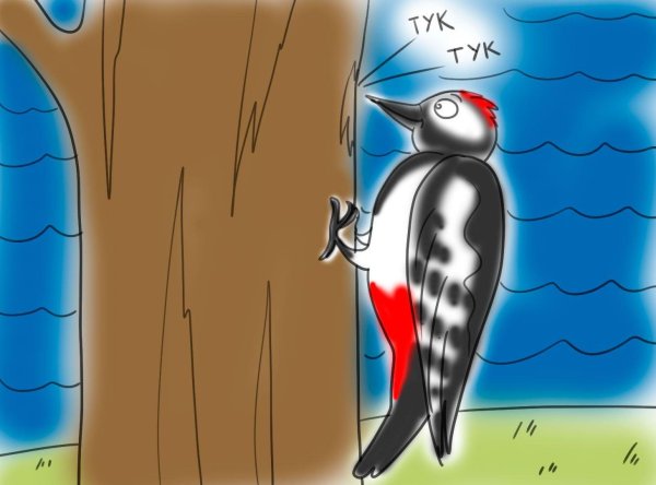 дятел стучит