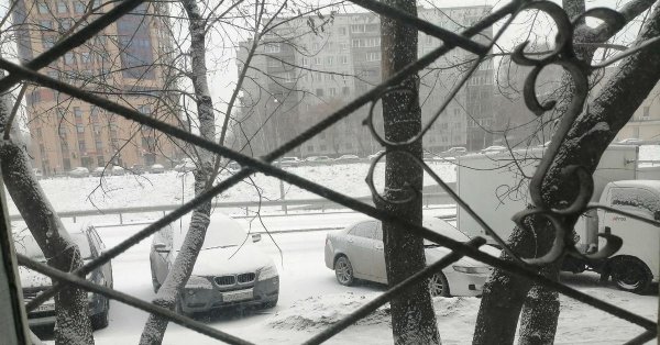 зима природа