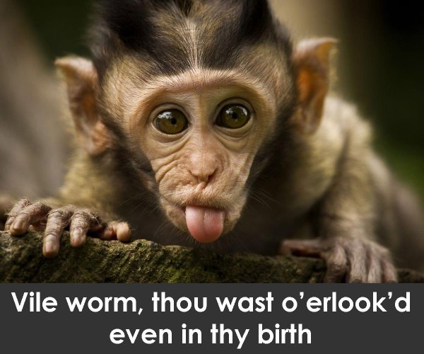 веселая обезьяна