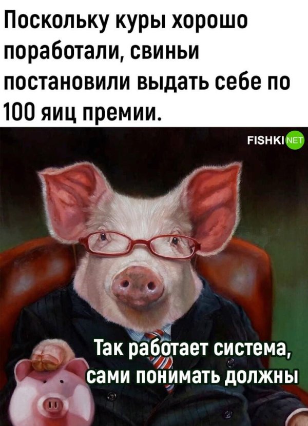 крутая свинья