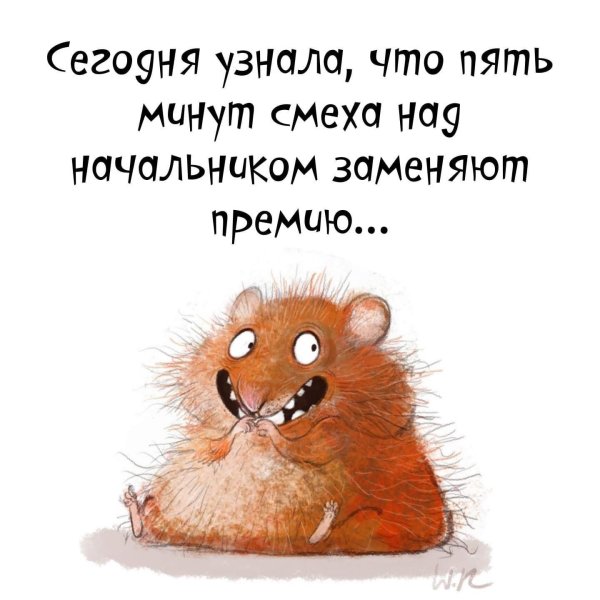 веселые высказывания