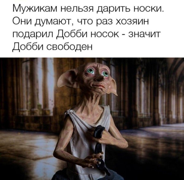 Добби свободен