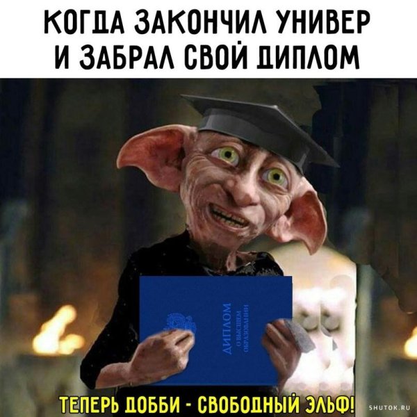 добби с дипломом