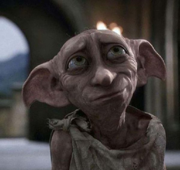 добби теперь свободный эльф