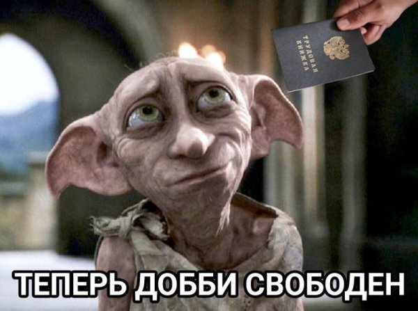 добби свободен трудовая