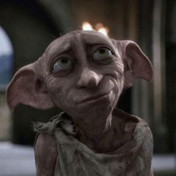 добби теперь свободный эльф