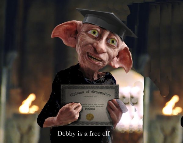 dobby harry potter