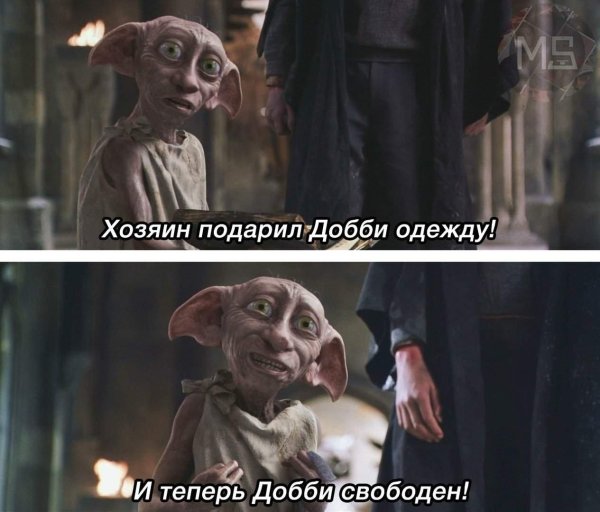 добби подарили носок добби свободен