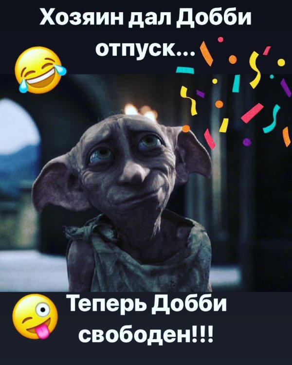 теперь добби свободен