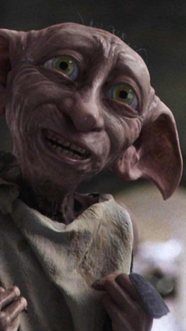 добби в гарри поттере