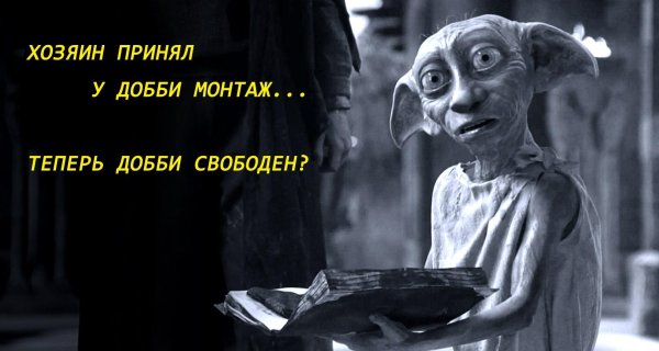 добби свободен