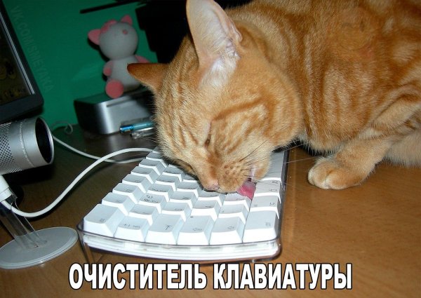 На компьютер