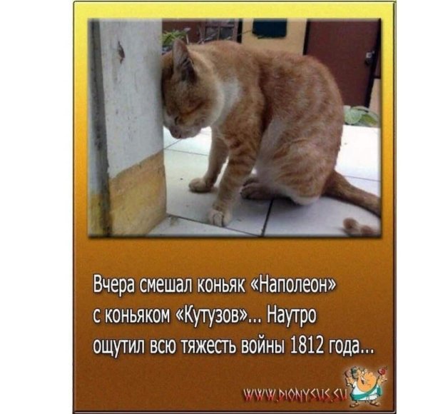 1 января с похмелья