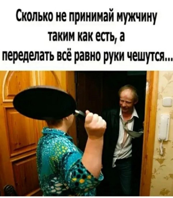 веселые высказывания