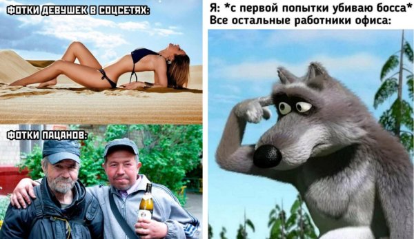 волки из мультика маша и медведь