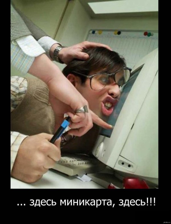 упоротый программист