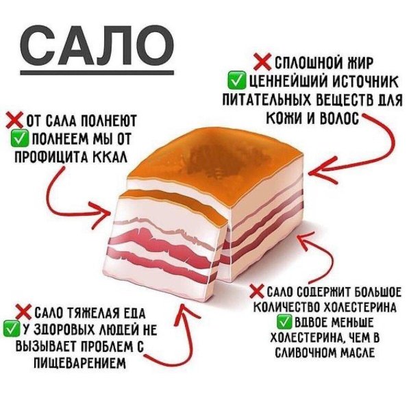 польза сала