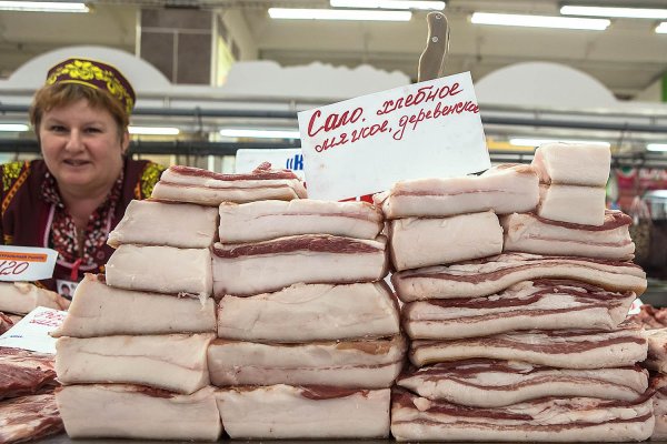 свежее сало