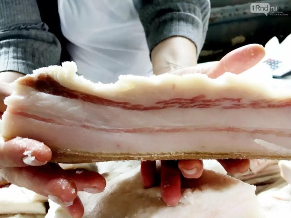 свежее сало