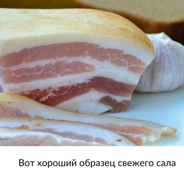 Спасибо за сало
