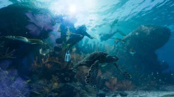 морская черепаха