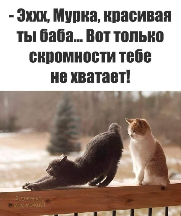 красивая баба