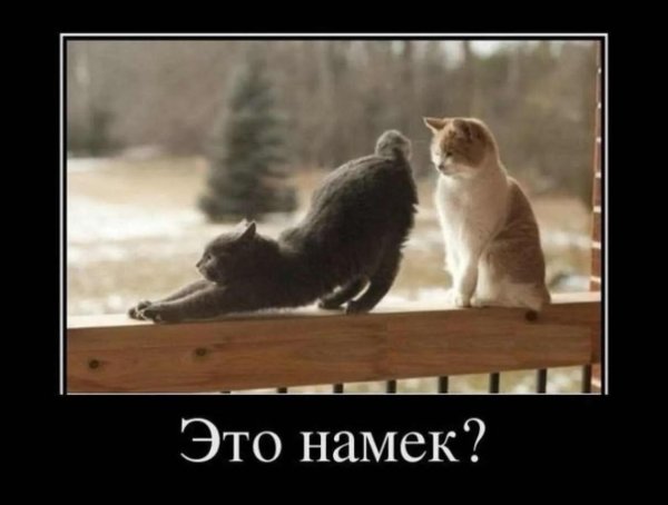 намек на симпатию