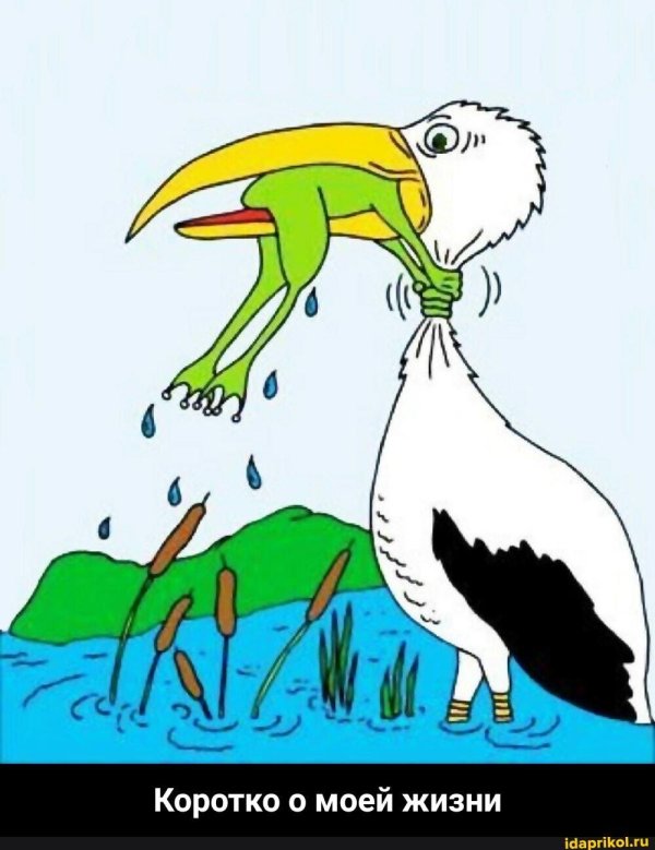 лягушка душит цаплю