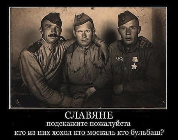 русские и украинцы