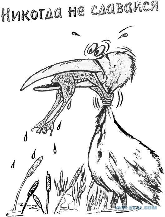 никогда не сдавайся