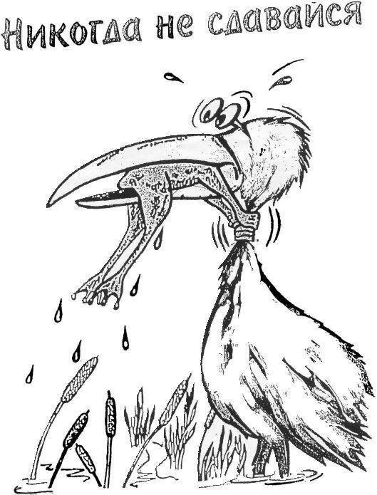 никогда не сдавайся
