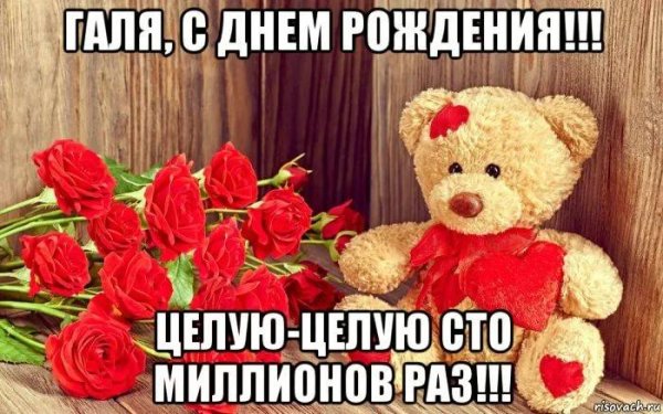 мишка и цветы