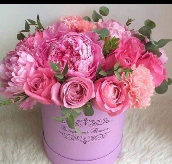 пионы в коробке